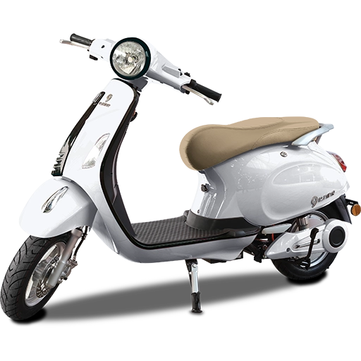 T1 New Color Putih